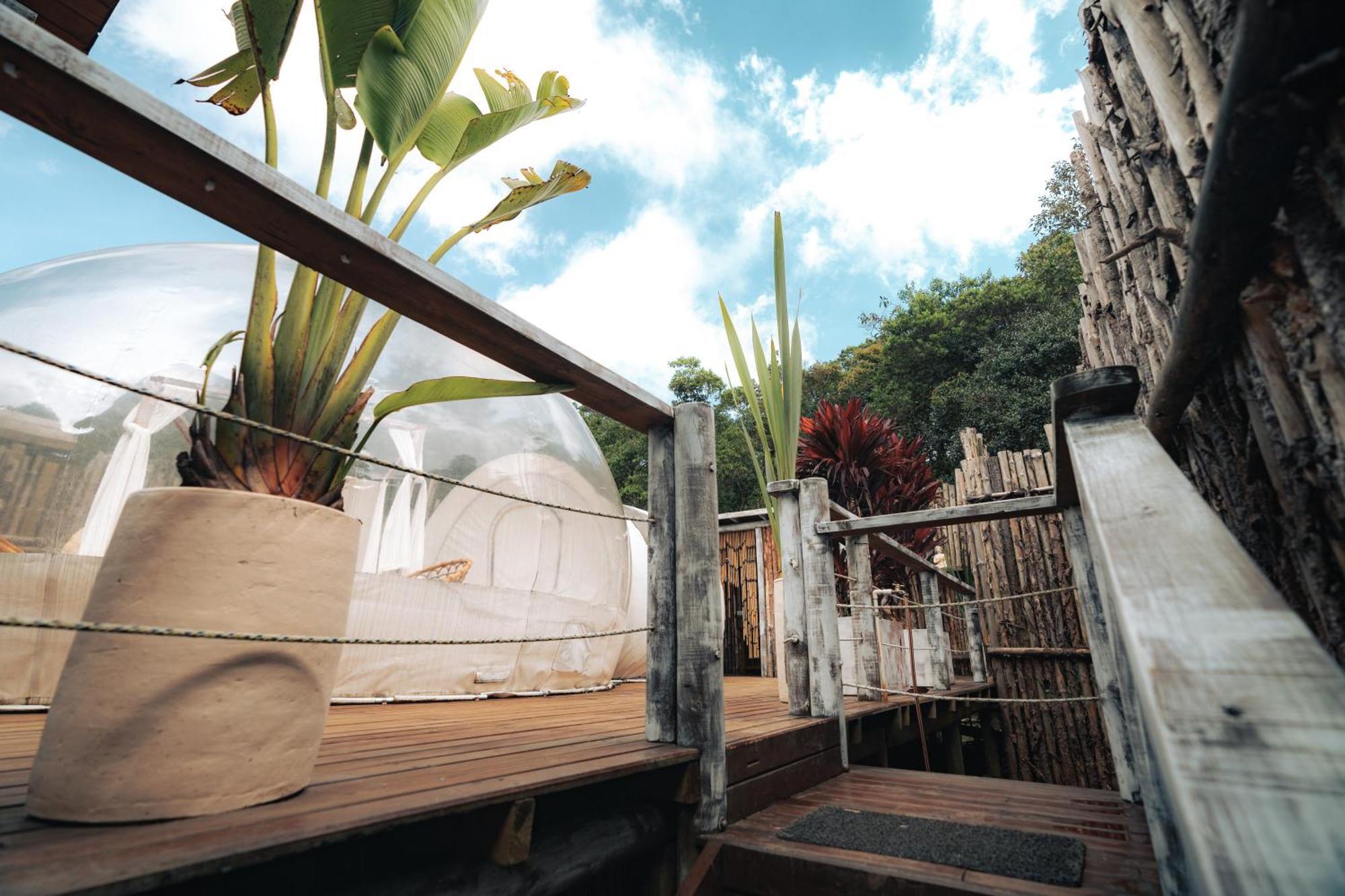 ホテル Bubblesky Glamping 15 Min From Medellin リオネグロ エクステリア 写真