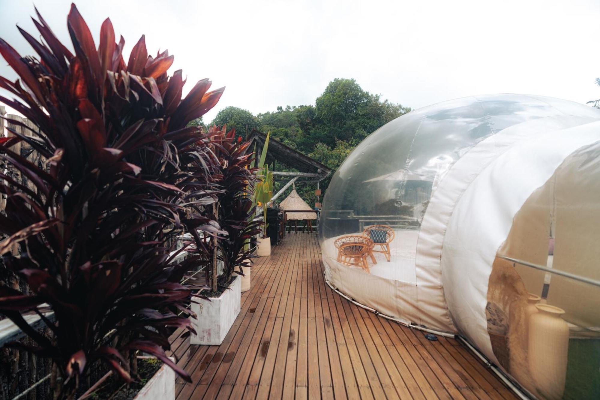 ホテル Bubblesky Glamping 15 Min From Medellin リオネグロ エクステリア 写真